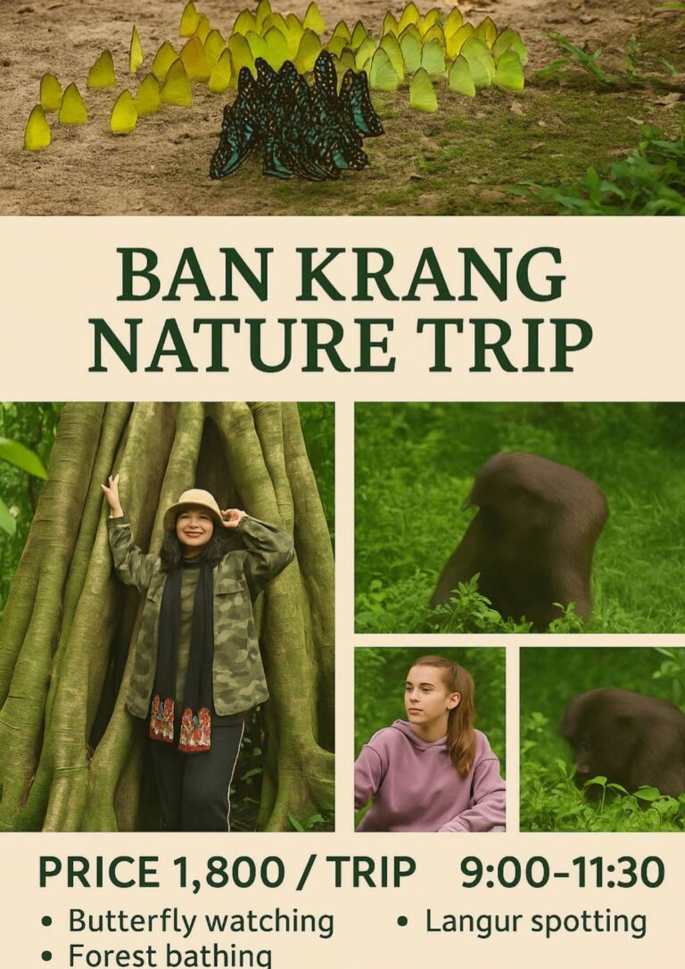 ทริปบ้านกร่าง แก่งกระจาน ดูผีเสื้อ อาบป่า และชมฝูงค่างแว่นอย่างใกล้ชิด